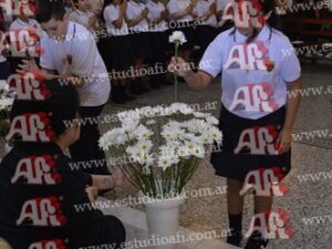 Photography #184087 from Comunión I.I.C.C 5 A 18-10-25